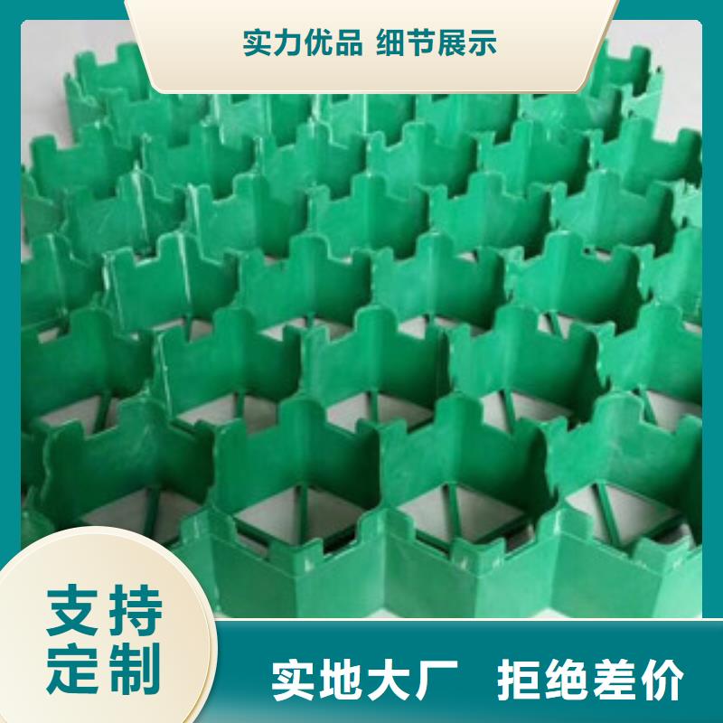 植草格蓄排水板厂家生产安装