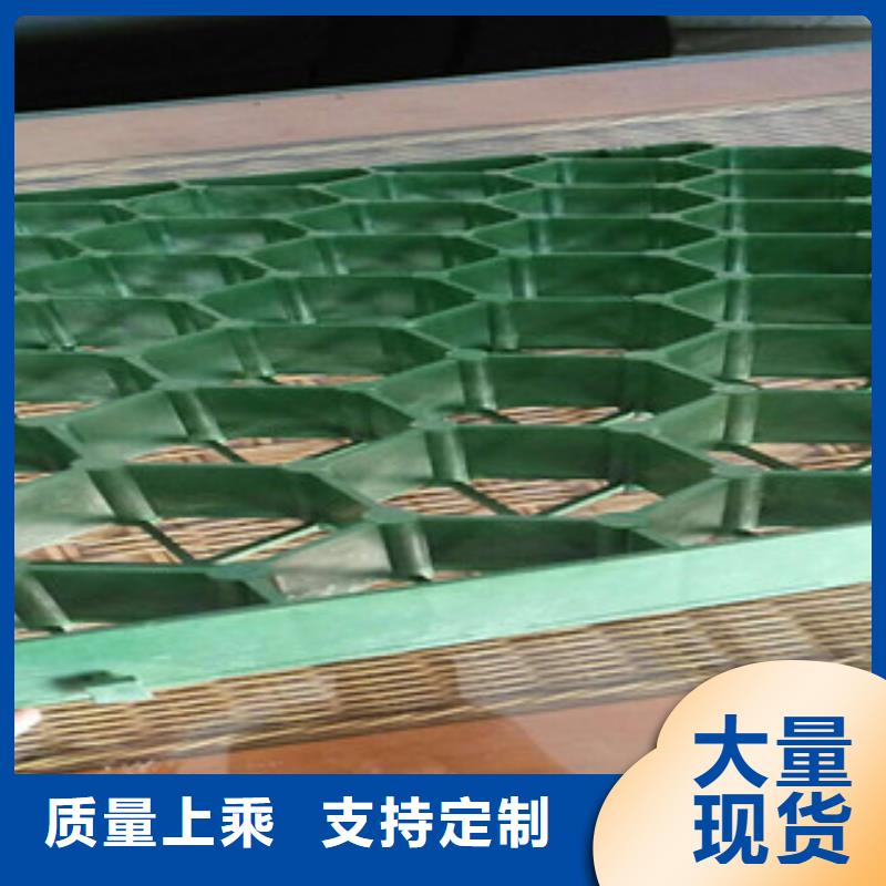 植草格,土工布厂家品质服务诚信为本