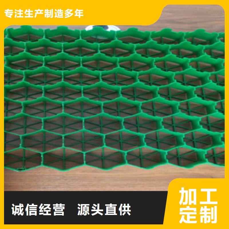 植草格,土工布厂家品质服务诚信为本