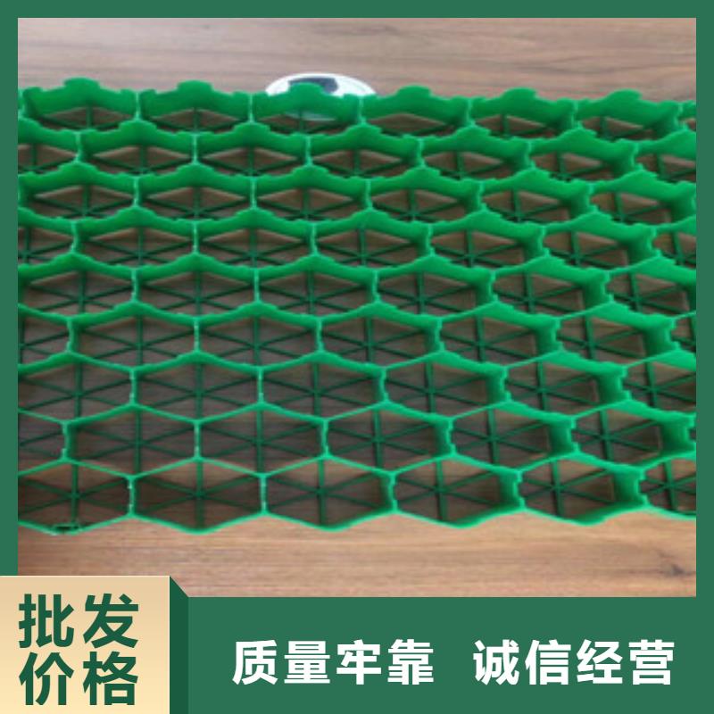 植草格植草格厂家定制零售批发