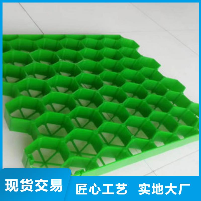 植草格-膨润土防水毯厂家口碑好实力强