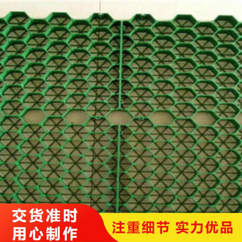 植草格土工布厂家技术先进