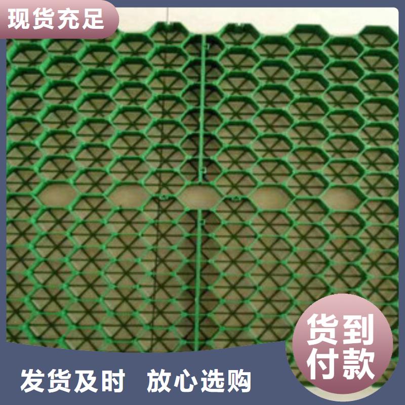 5公分加强型植草格厂家电话