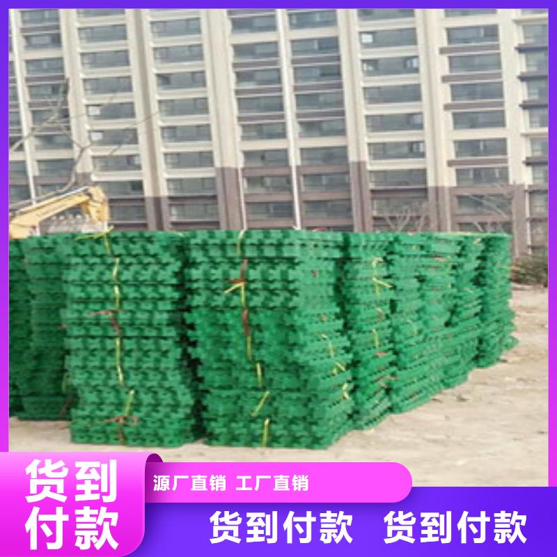 植草格土工布厂家厂家直销