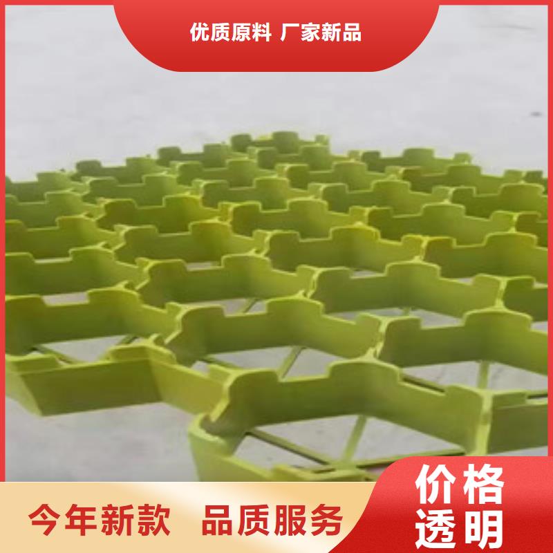 植草格土工布厂家厂家直销