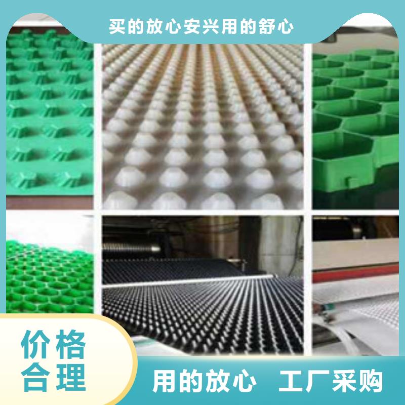 植草格土工布厂家厂家直销