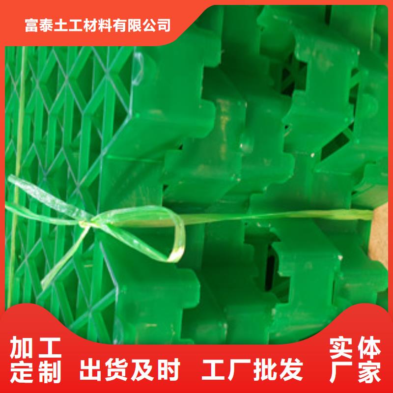 高强度植草格生产厂家