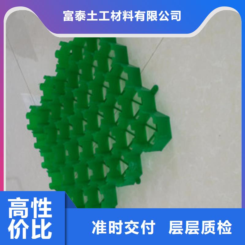 植草格土工布厂家技术先进