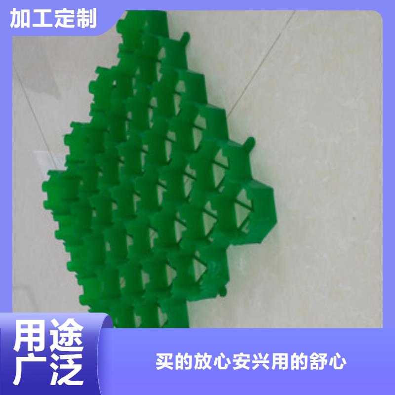 植草格植草格厂家定制零售批发