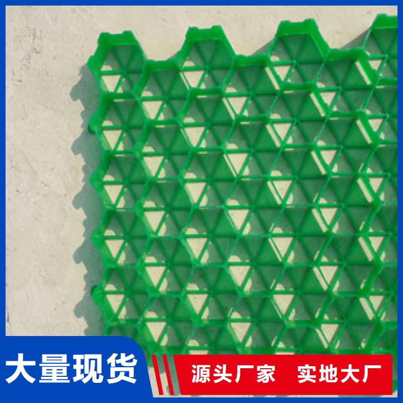 植草格,土工布厂家品质服务诚信为本