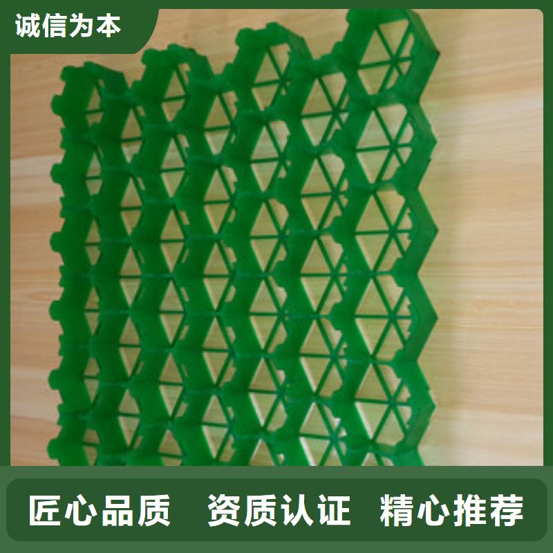 植草格,土工布厂家品质服务诚信为本