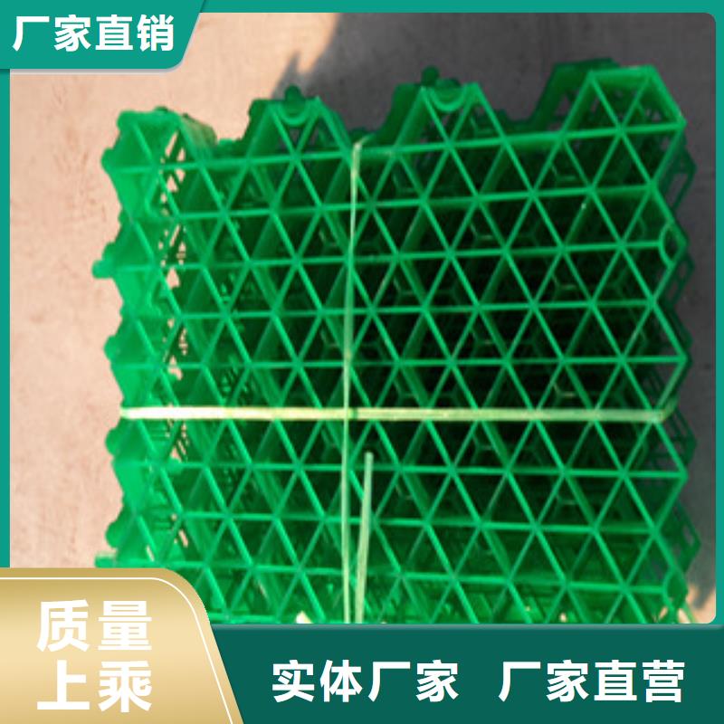 植草格植草格厂家定制零售批发