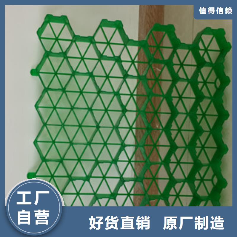 植草格,土工布厂家品质服务诚信为本