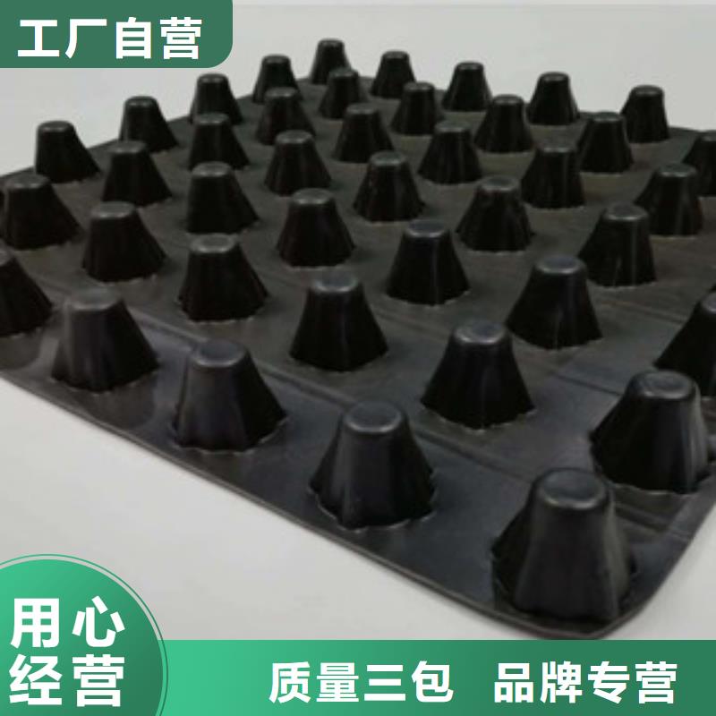 排水板土工膜厂家源厂供货