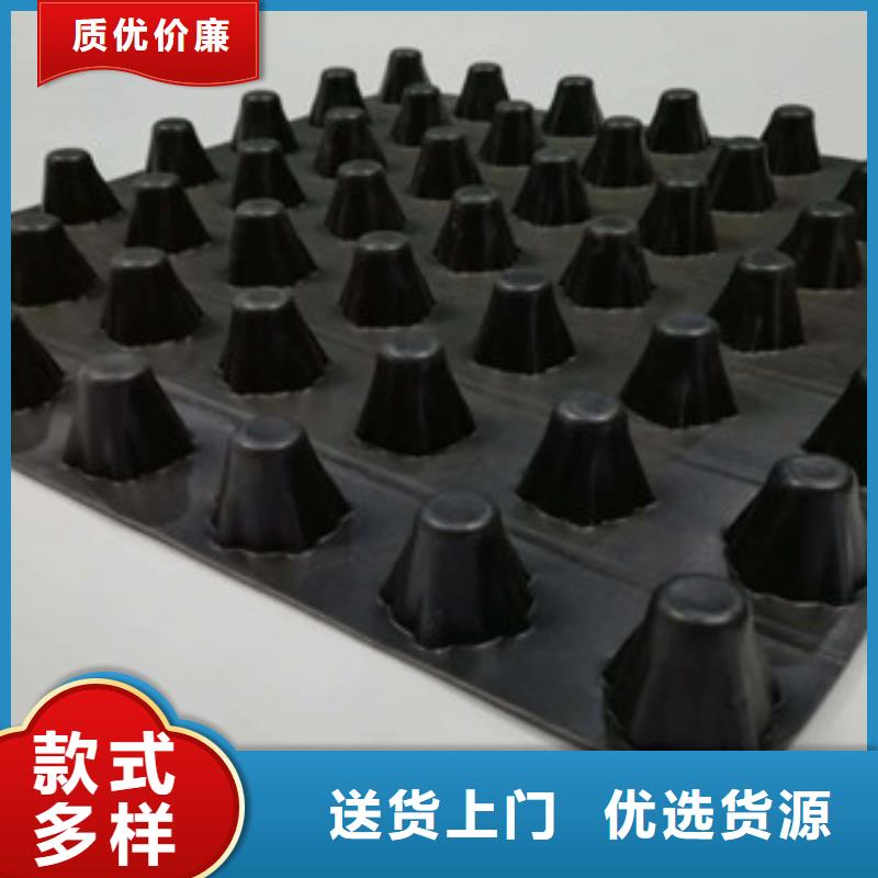 排水板土工膜厂家低价货源