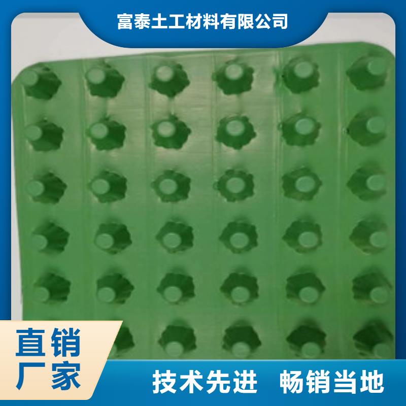 排水板土工膜厂家源厂供货
