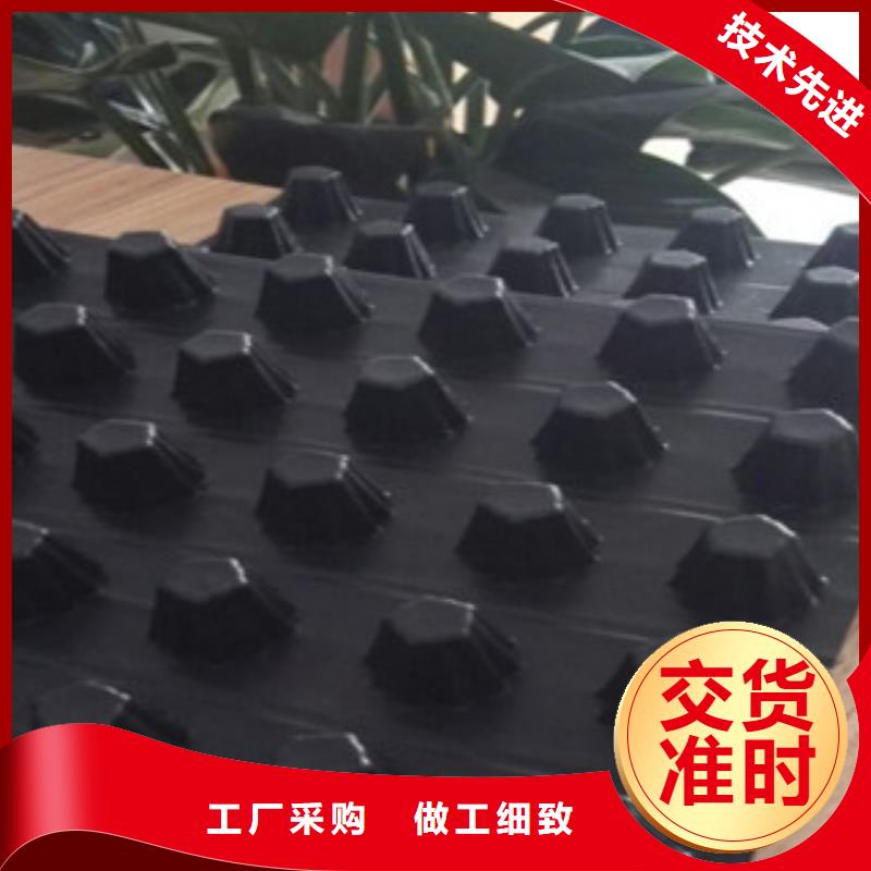 排水板-土工膜厂家好产品不怕比