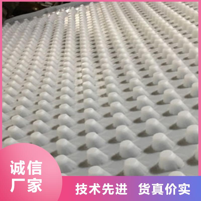 排水板,排水板厂家助您降低采购成本