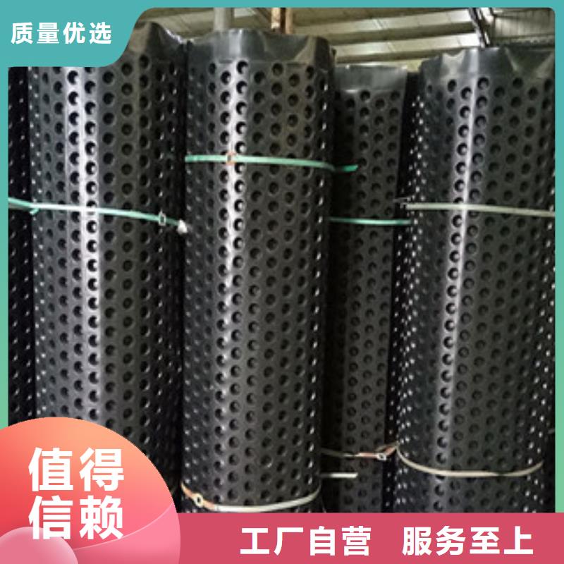 排水板-土工膜厂家好产品不怕比