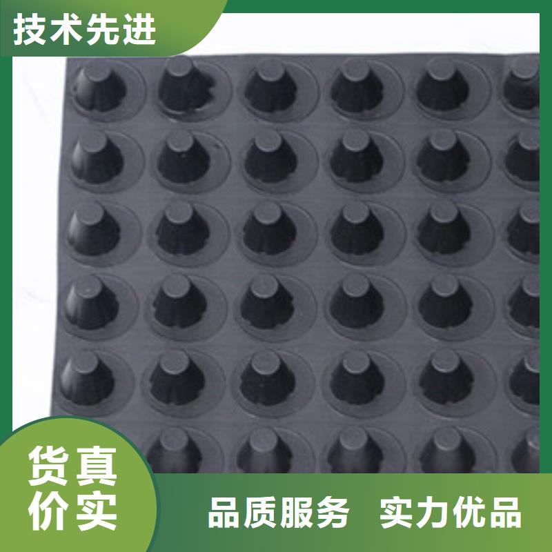 排水板土工膜厂家低价货源