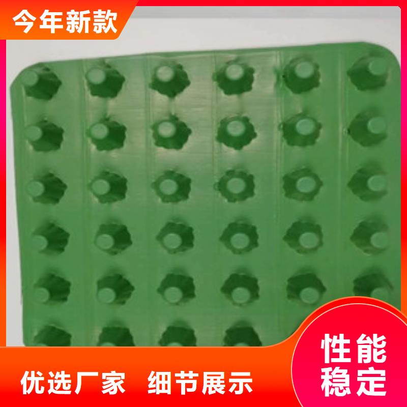 排水板土工膜厂家源厂供货