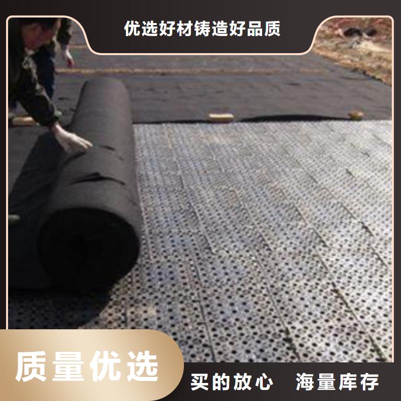 排水板土工膜厂家源厂供货