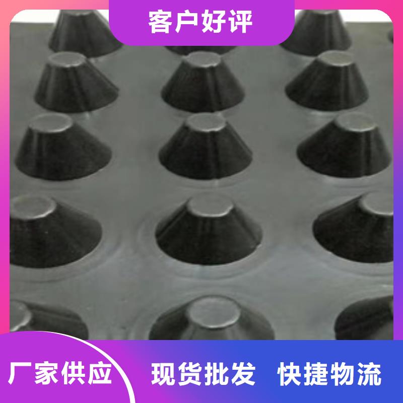 排水板排水板厂家生产型