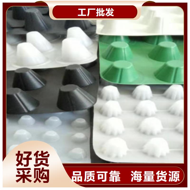 排水板排水板厂家生产型