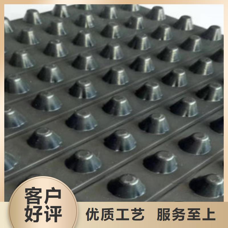 排水板排水板厂家生产型