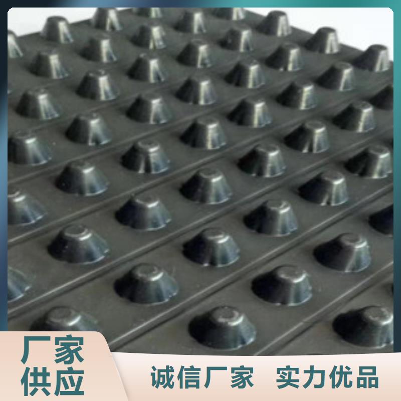 排水板土工膜厂家源厂供货