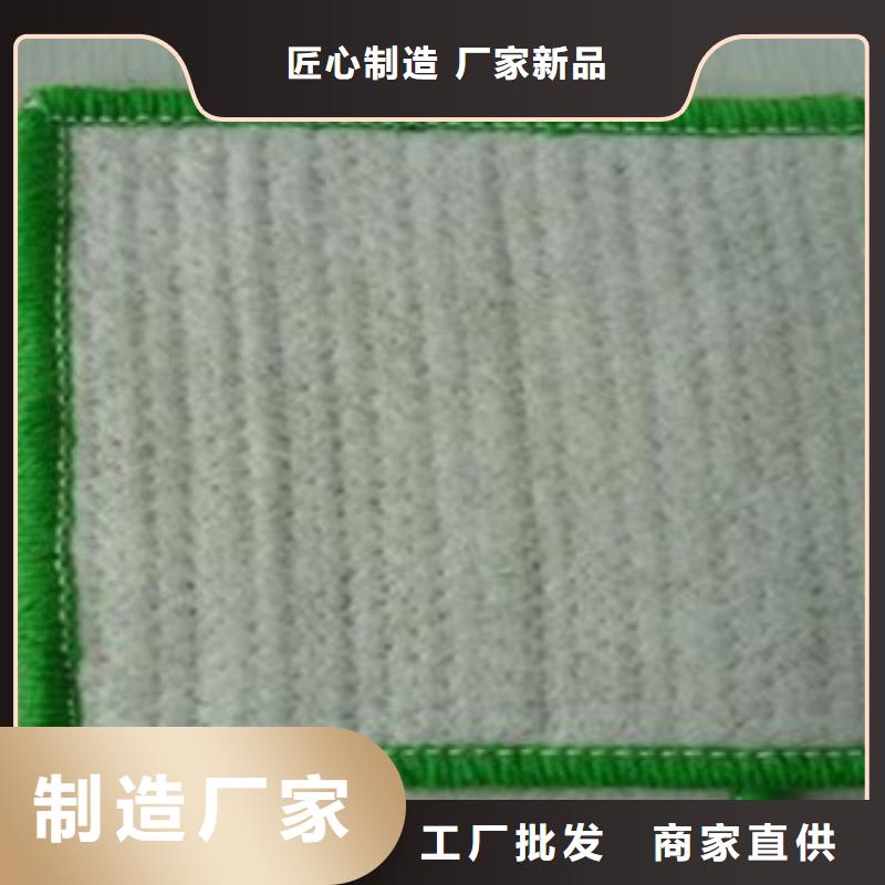 土工膜厂家-视频-土工膜厂家|广西省贵港市|平南|港北|来宾|玉林|南宁|梧州|钦州|柳州