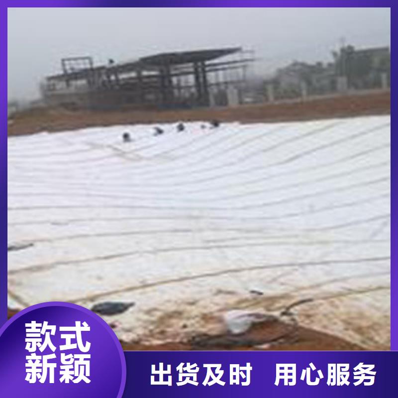 土工膜厂家-视频-土工膜厂家|广西省贵港市|平南|港北|来宾|玉林|南宁|梧州|钦州|柳州