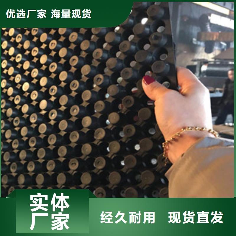 蓄排水板排水板厂家厂家直营