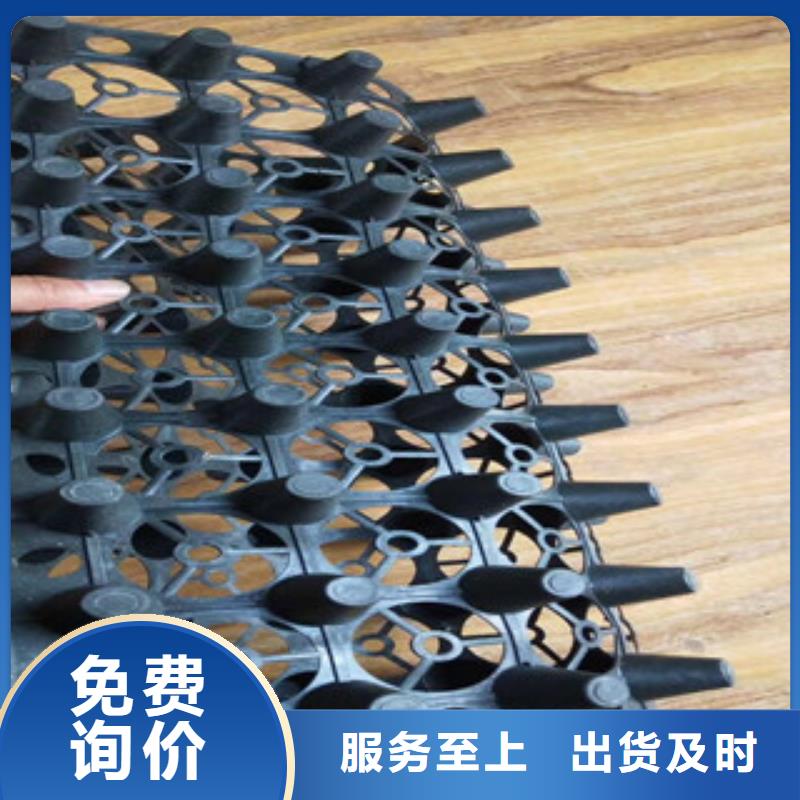 蓄排水板土工膜厂家种类齐全