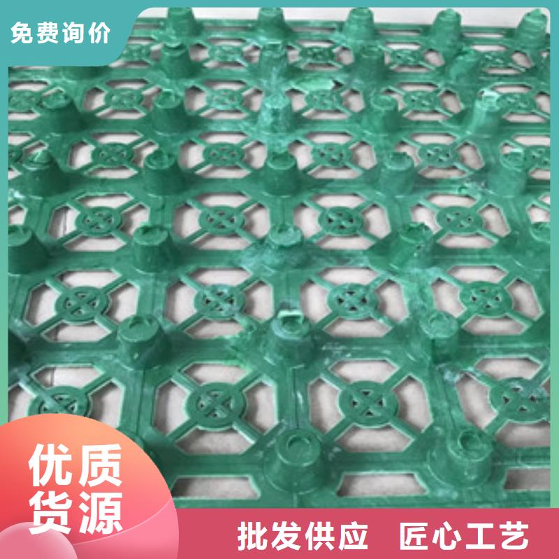 蓄排水板【土工布厂家】诚信为本