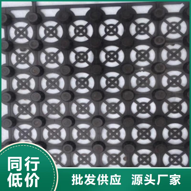 蓄排水板膨润土防水毯厂家快速发货