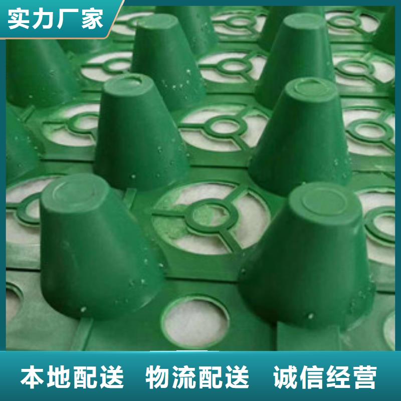 【蓄排水板_膨润土防水毯厂家质检严格】