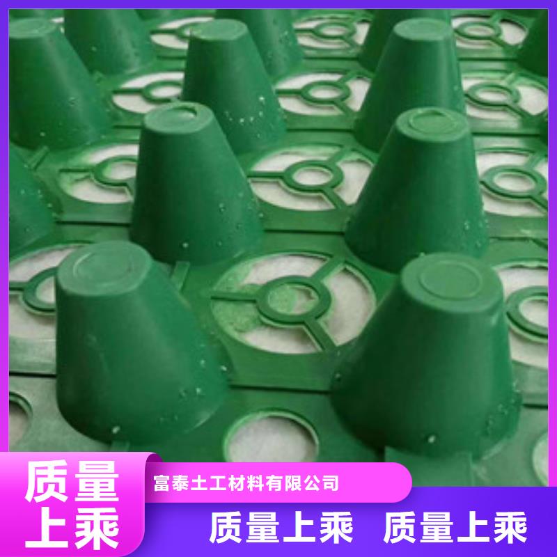 蓄排水板膨润土防水毯厂家快速发货