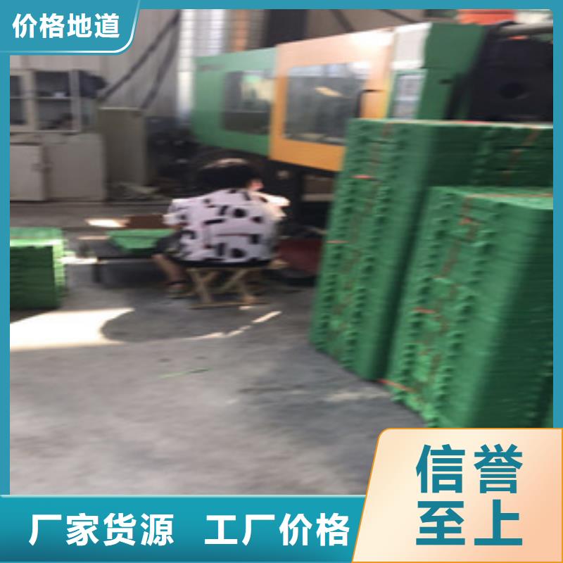 【蓄排水板_膨润土防水毯厂家质检严格】