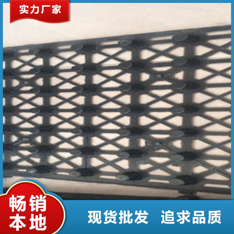 【蓄排水板_膨润土防水毯厂家质检严格】