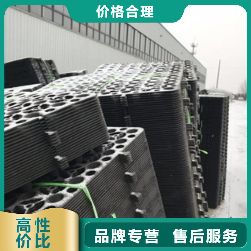 【蓄排水板_膨润土防水毯厂家质检严格】