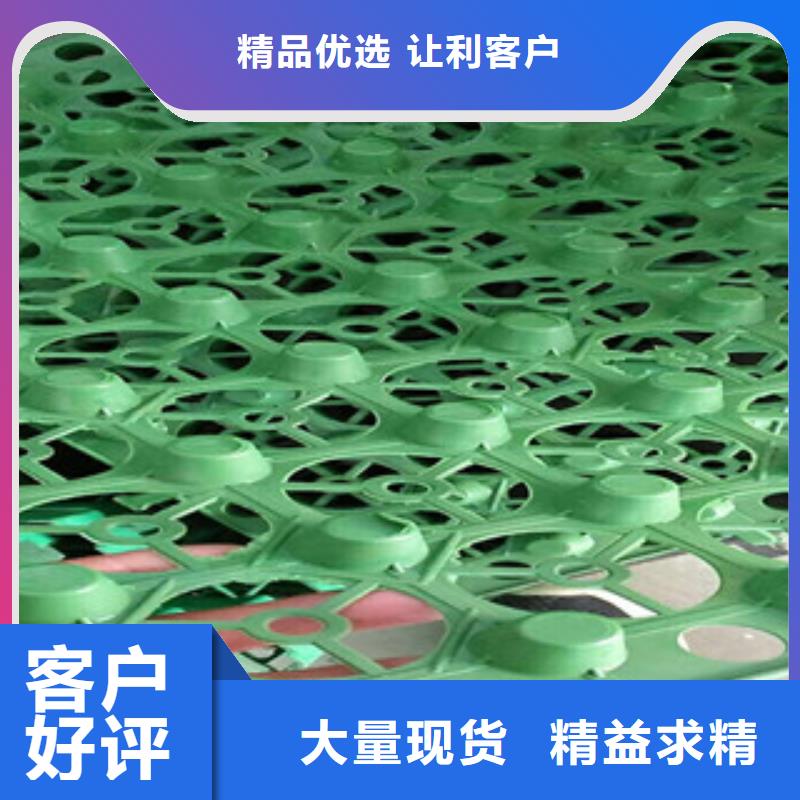 蓄排水板【土工膜厂家】厂家直销直供
