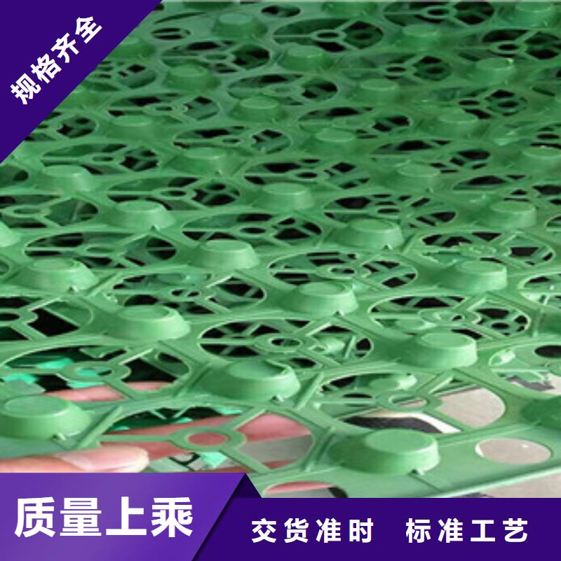 蓄排水板生态袋厂家用心制造