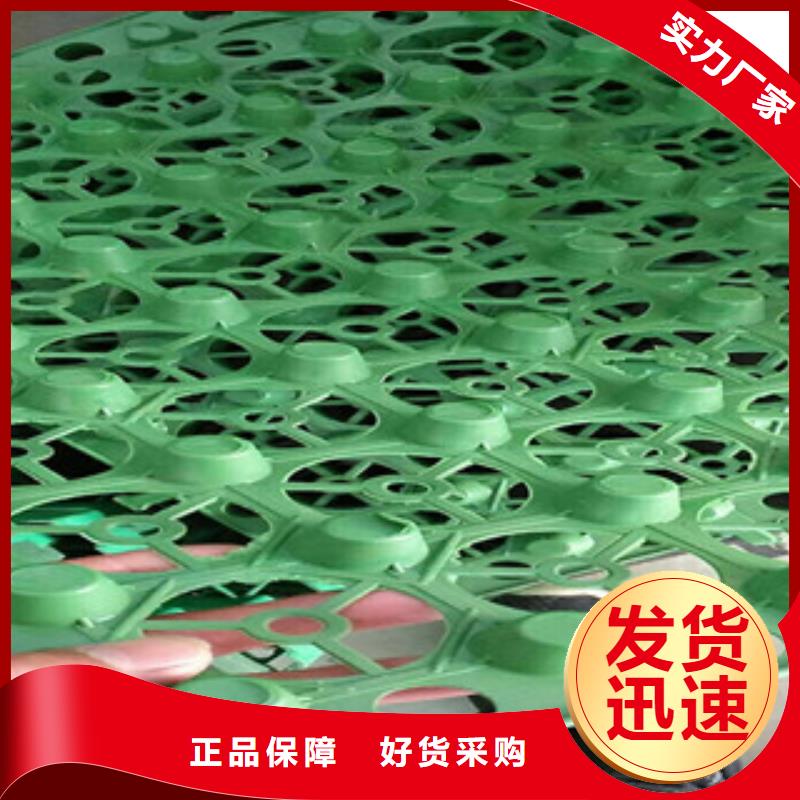 土工膜厂家-视频-土工膜厂家-直辖香港(同城)货源