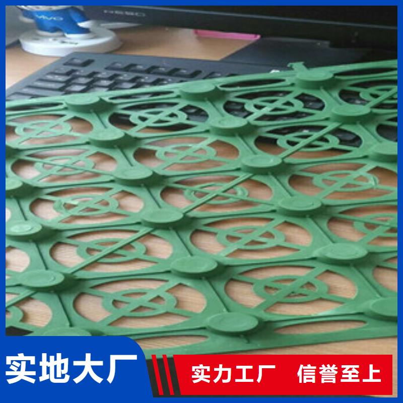 蓄排水板土工布厂家常年出售
