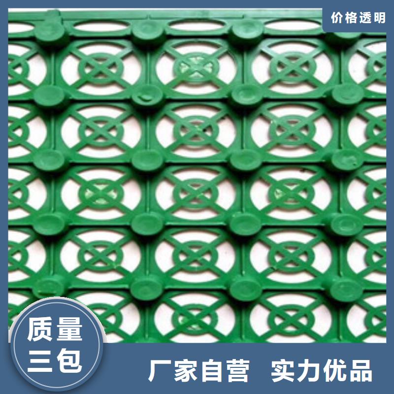 蓄排水板,土工膜厂家按需定做