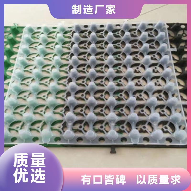 蓄排水板【土工膜厂家】厂家直销直供