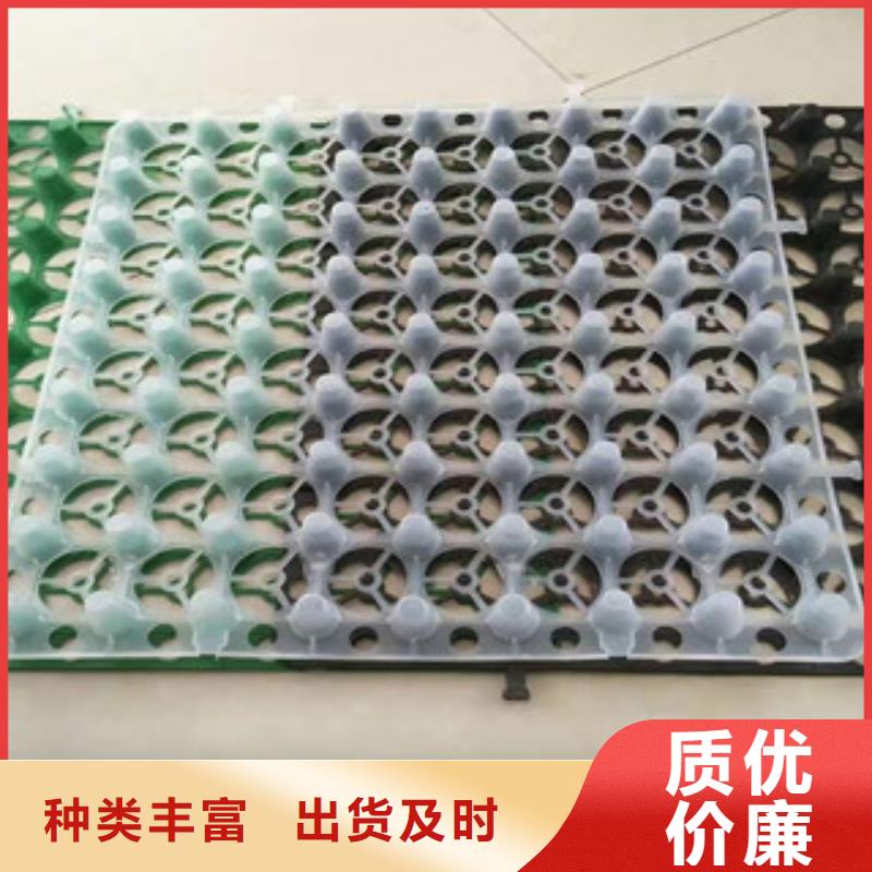 土工膜厂家-视频-土工膜厂家-直辖香港(同城)货源