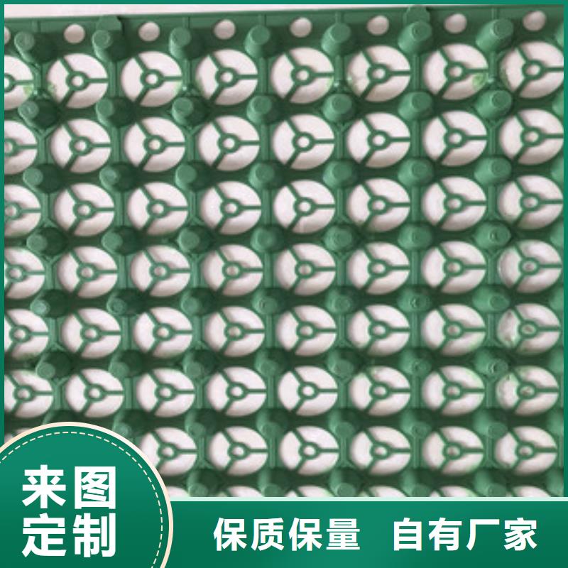 蓄排水板蓄排水板厂家一站式采购商