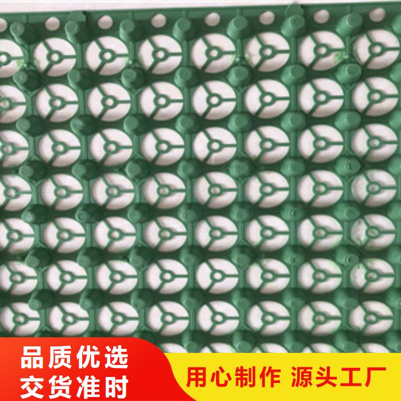 蓄排水板土工布厂家现货批发